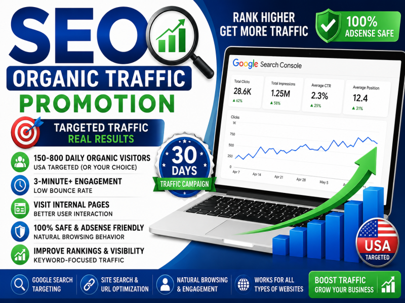 I Will Drive Google Search Console Organic Website Traffic Promotion